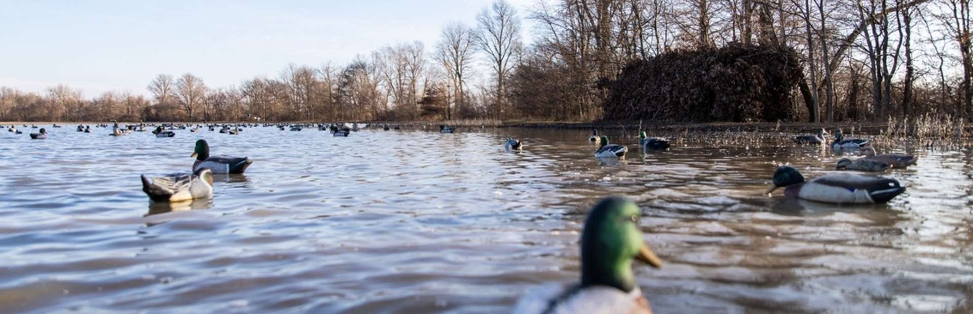 Self Guided Missouri Waterfowl Hunts Unguided Duck Hunts DIY Duck Self Guided Missouri Waterfowl Hunts Unguided Duck Hunts DIY Duck
