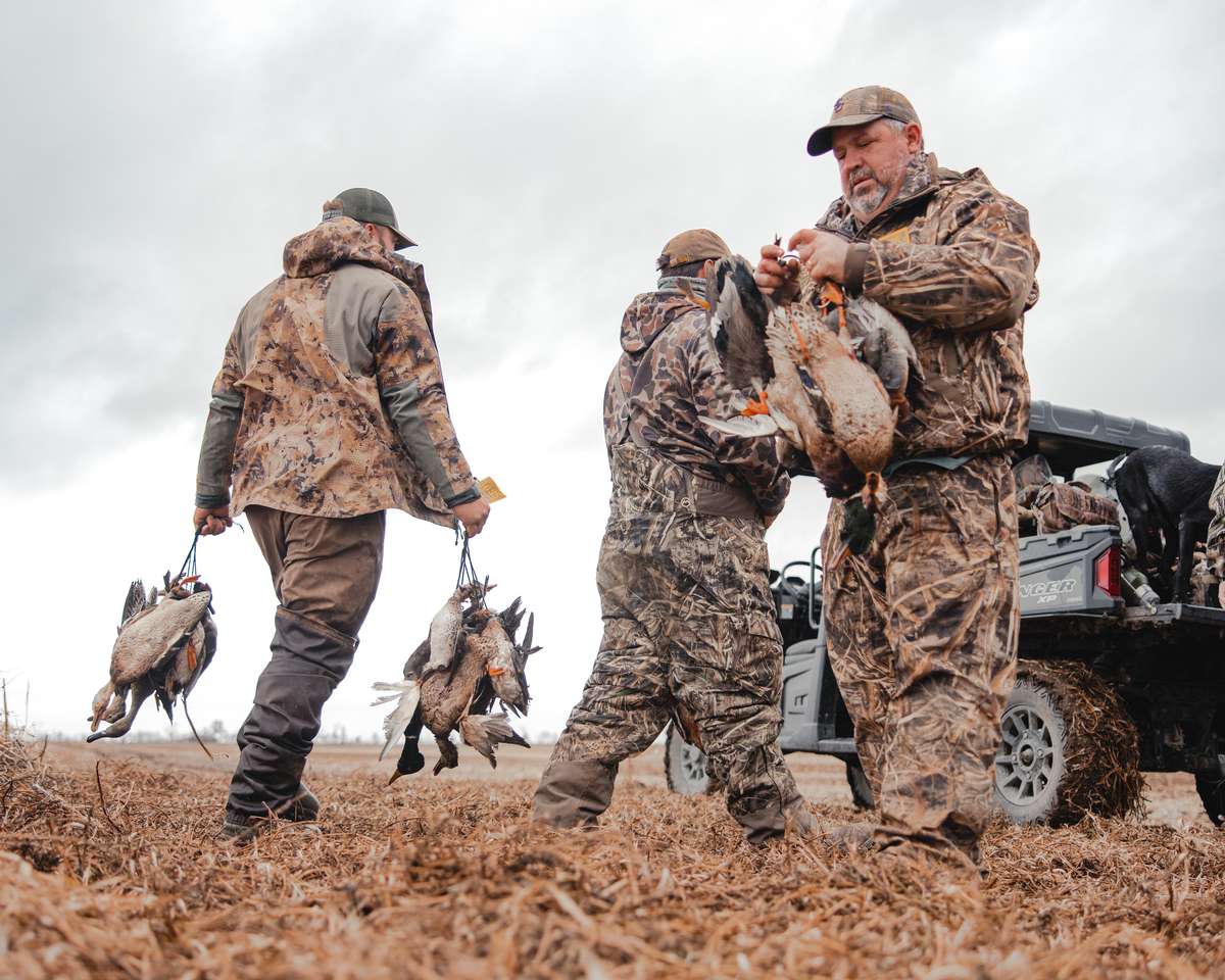 Guided Missouri Duck Hunts Missouri Waterfowl Hunting Guides