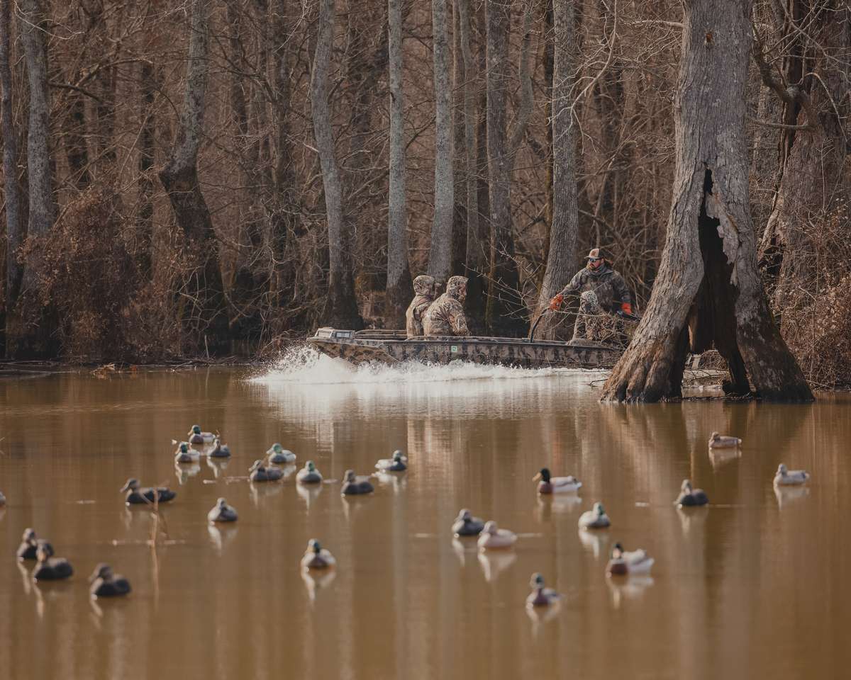 Flooded Timber Duck Hunts Missouri Treasure Island Outfitters