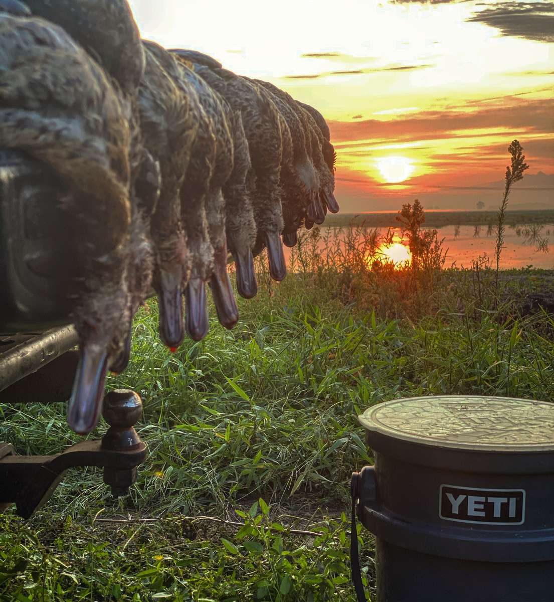 Guided Teal Hunts Missouri Treasure Island Outfitters