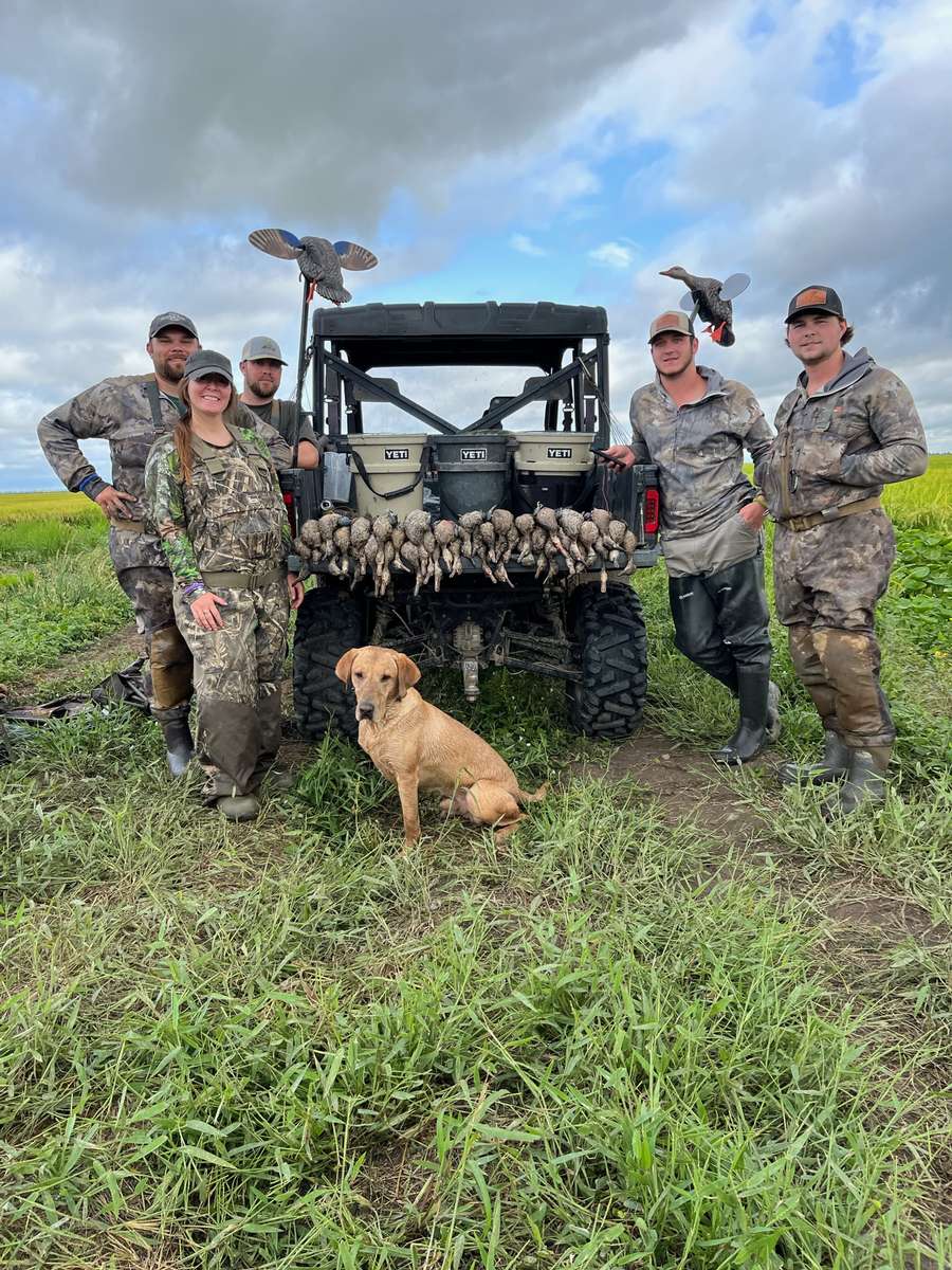 Missouri Teal Hunting Details 