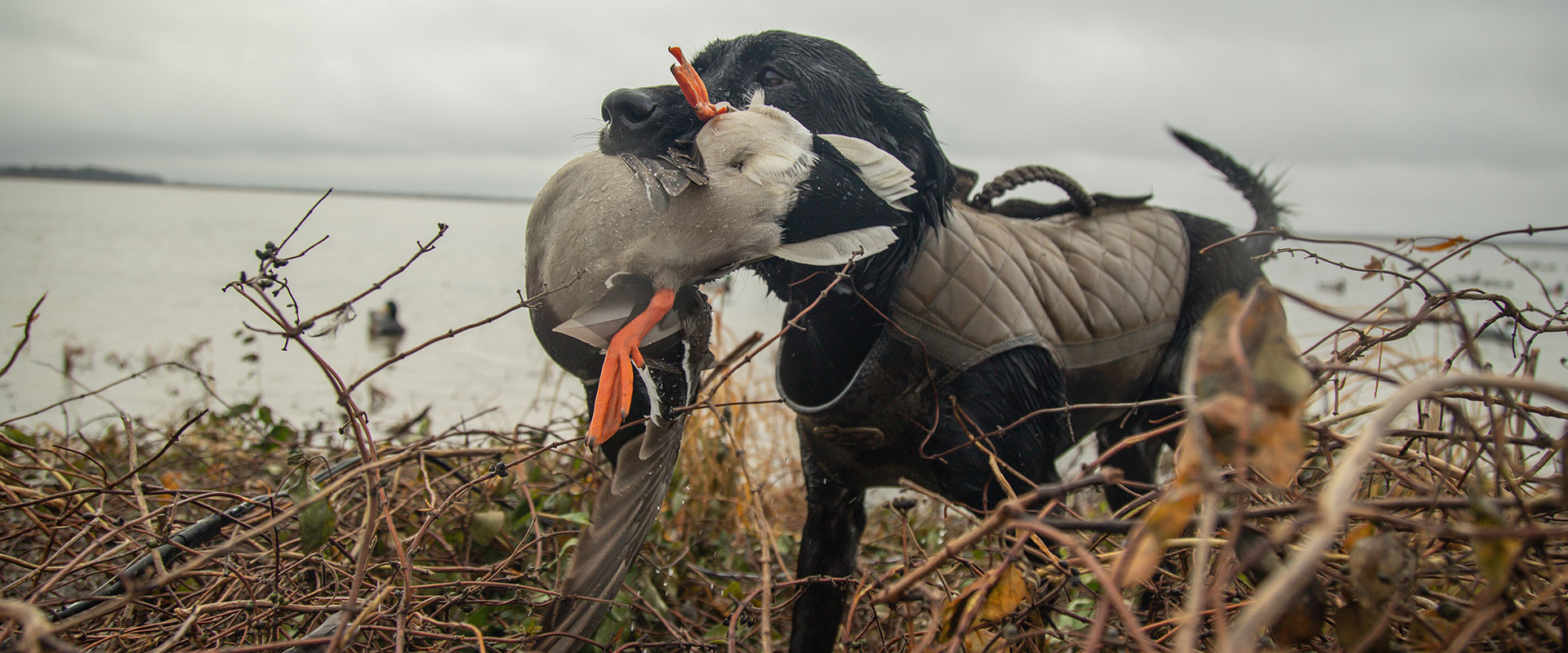 3.jpg Self guided hunts